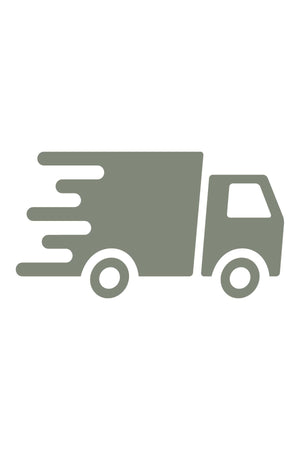Express Delivery
