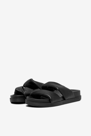 Minnie Sandaler - Dubh